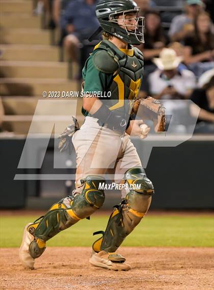 Thumbnail 1 in Saguaro vs. Canyon del Oro (AIA 4A Final)  photogallery.