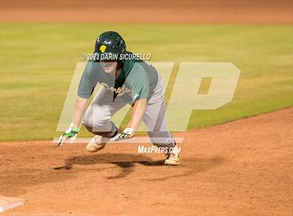 Thumbnail 1 in Saguaro vs. Canyon del Oro (AIA 4A Final)  photogallery.