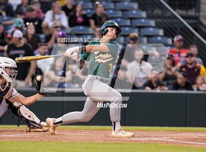 Thumbnail 3 in Saguaro vs. Canyon del Oro (AIA 4A Final)  photogallery.