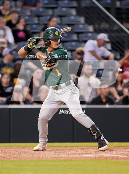 Thumbnail 1 in Saguaro vs. Canyon del Oro (AIA 4A Final)  photogallery.