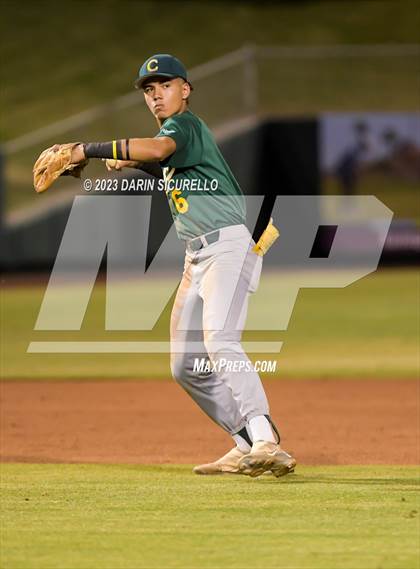 Thumbnail 1 in Saguaro vs. Canyon del Oro (AIA 4A Final)  photogallery.