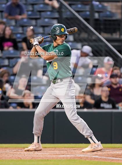 Thumbnail 1 in Saguaro vs. Canyon del Oro (AIA 4A Final)  photogallery.