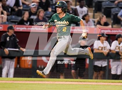 Thumbnail 1 in Saguaro vs. Canyon del Oro (AIA 4A Final)  photogallery.