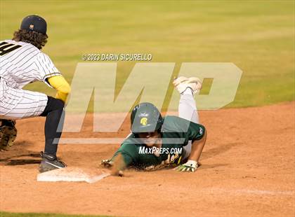 Thumbnail 1 in Saguaro vs. Canyon del Oro (AIA 4A Final)  photogallery.