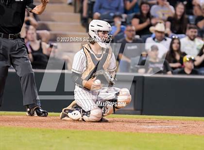 Thumbnail 2 in Saguaro vs. Canyon del Oro (AIA 4A Final)  photogallery.