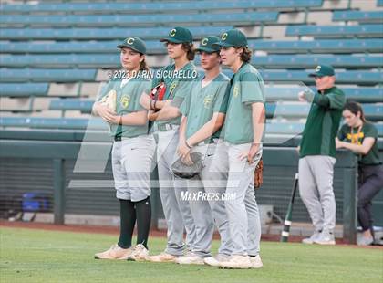 Thumbnail 1 in Saguaro vs. Canyon del Oro (AIA 4A Final)  photogallery.