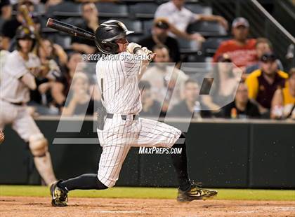 Thumbnail 1 in Saguaro vs. Canyon del Oro (AIA 4A Final)  photogallery.