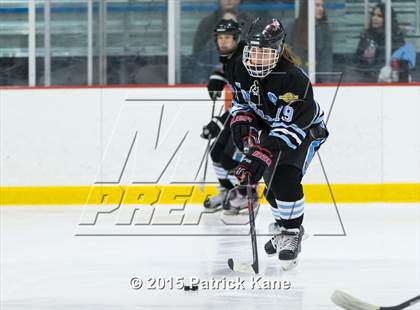 Thumbnail 2 in McLean @ Yorktown photogallery.