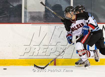 Thumbnail 1 in McLean @ Yorktown photogallery.