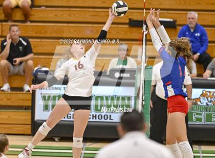 Thumbnail 1 in McCutcheon vs Roncalli  photogallery.