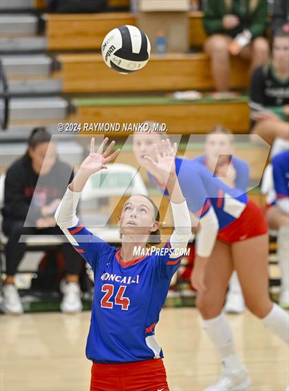 Thumbnail 2 in McCutcheon vs Roncalli  photogallery.