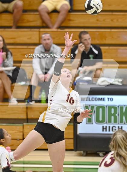 Thumbnail 3 in McCutcheon vs Roncalli  photogallery.