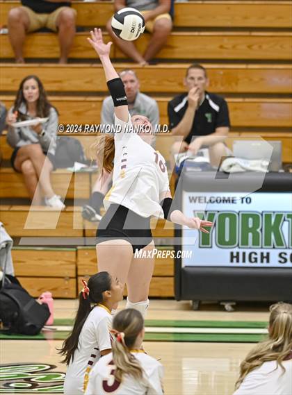 Thumbnail 2 in McCutcheon vs Roncalli  photogallery.