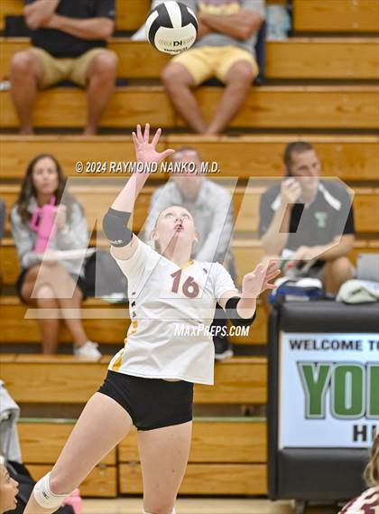 Thumbnail 1 in McCutcheon vs Roncalli  photogallery.