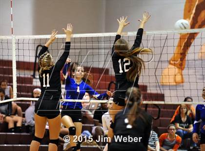 Thumbnail 2 in Ridgewood @ Wiregrass Ranch photogallery.