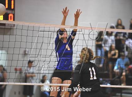 Thumbnail 3 in Ridgewood @ Wiregrass Ranch photogallery.