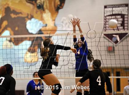 Thumbnail 3 in Ridgewood @ Wiregrass Ranch photogallery.