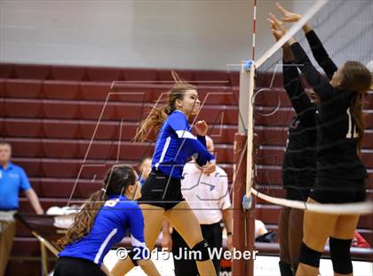 Thumbnail 1 in Ridgewood @ Wiregrass Ranch photogallery.