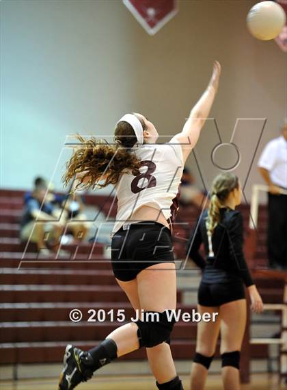 Thumbnail 2 in Ridgewood @ Wiregrass Ranch photogallery.