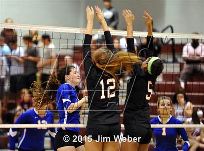 Thumbnail 2 in Ridgewood @ Wiregrass Ranch photogallery.