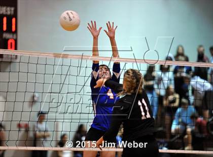 Thumbnail 2 in Ridgewood @ Wiregrass Ranch photogallery.
