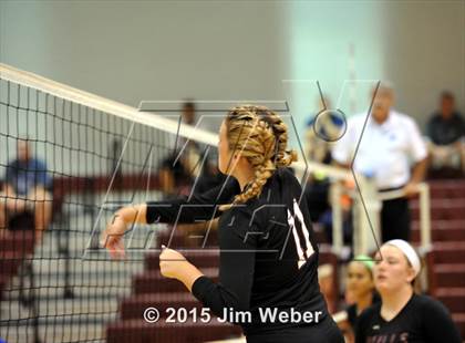 Thumbnail 3 in Ridgewood @ Wiregrass Ranch photogallery.