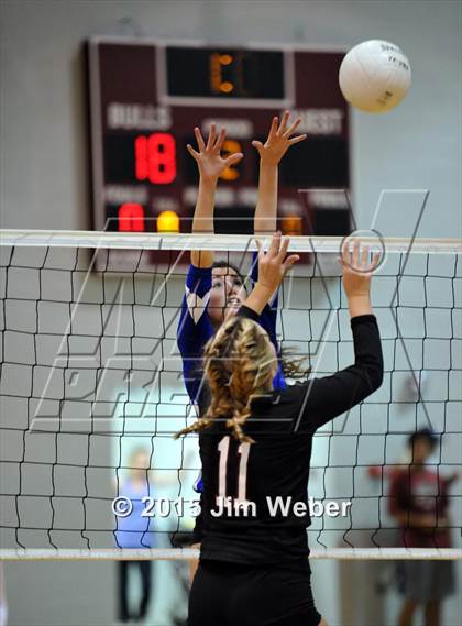 Thumbnail 3 in Ridgewood @ Wiregrass Ranch photogallery.