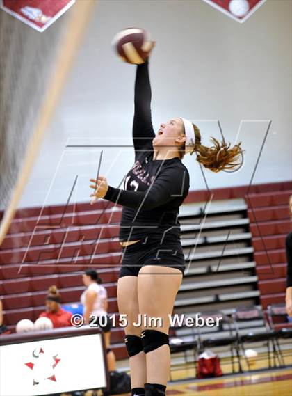 Thumbnail 1 in Ridgewood @ Wiregrass Ranch photogallery.