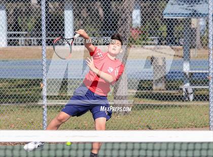 Thumbnail 3 in Weeki Wachee @ Springstead photogallery.
