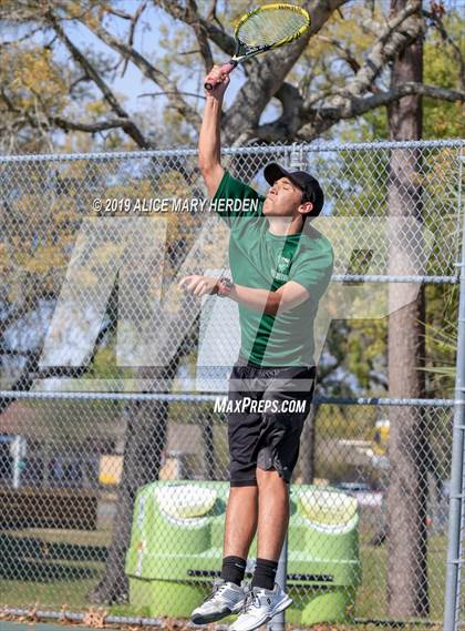 Thumbnail 3 in Weeki Wachee @ Springstead photogallery.