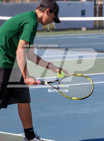 Thumbnail 3 in Weeki Wachee @ Springstead photogallery.