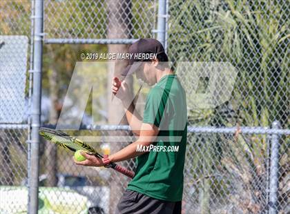 Thumbnail 1 in Weeki Wachee @ Springstead photogallery.