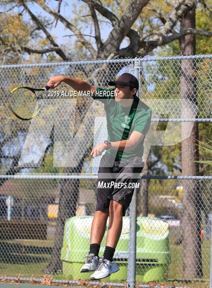Thumbnail 1 in Weeki Wachee @ Springstead photogallery.