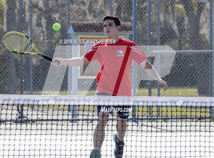 Thumbnail 3 in Weeki Wachee @ Springstead photogallery.