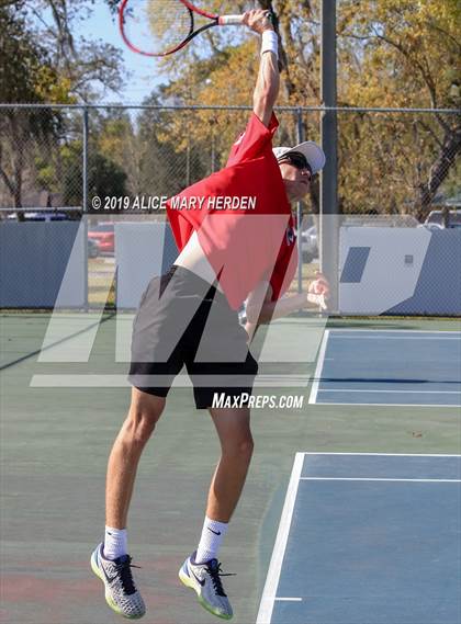 Thumbnail 1 in Weeki Wachee @ Springstead photogallery.