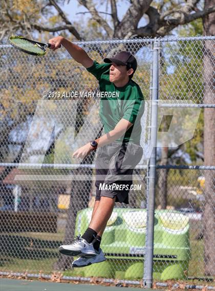 Thumbnail 3 in Weeki Wachee @ Springstead photogallery.