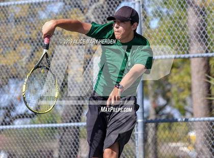 Thumbnail 1 in Weeki Wachee @ Springstead photogallery.