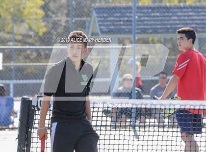 Thumbnail 1 in Weeki Wachee @ Springstead photogallery.
