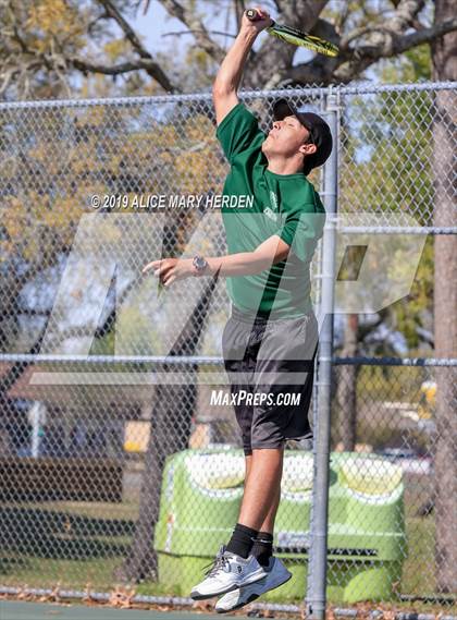 Thumbnail 2 in Weeki Wachee @ Springstead photogallery.