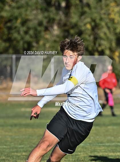Thumbnail 3 in Falcon @ Mullen photogallery.