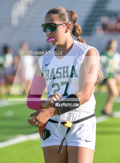 Thumbnail 3 in Basha @ Skyline photogallery.