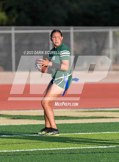 Thumbnail 2 in Basha @ Skyline photogallery.