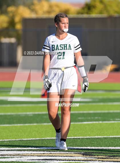 Thumbnail 1 in Basha @ Skyline photogallery.