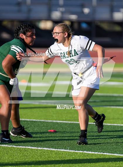 Thumbnail 3 in Basha @ Skyline photogallery.