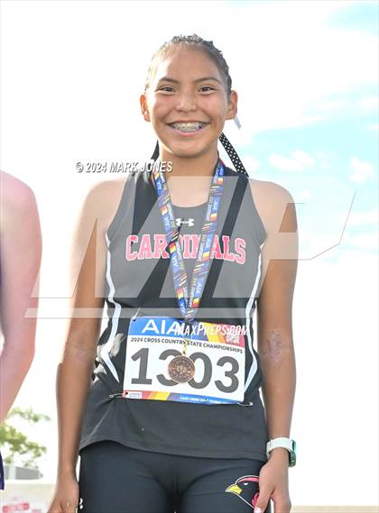 Thumbnail 1 in AIA D-IV Girls State Championship (Awards) photogallery.