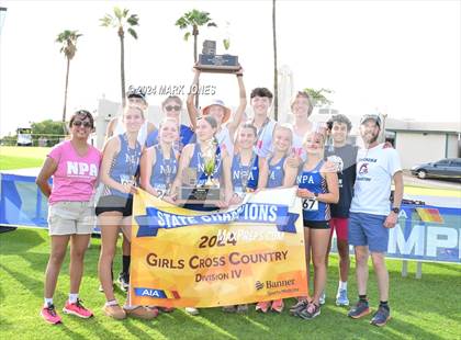 Thumbnail 2 in AIA D-IV Girls State Championship (Awards) photogallery.