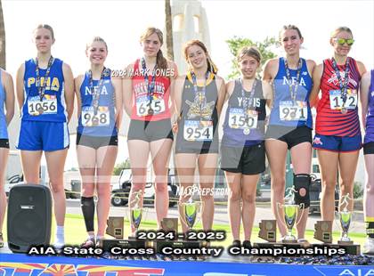 Thumbnail 3 in AIA D-IV Girls State Championship (Awards) photogallery.