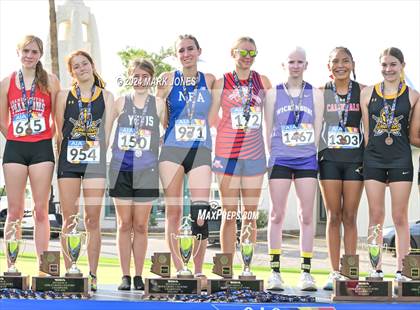 Thumbnail 3 in AIA D-IV Girls State Championship (Awards) photogallery.