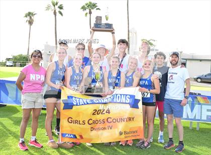 Thumbnail 3 in AIA D-IV Girls State Championship (Awards) photogallery.