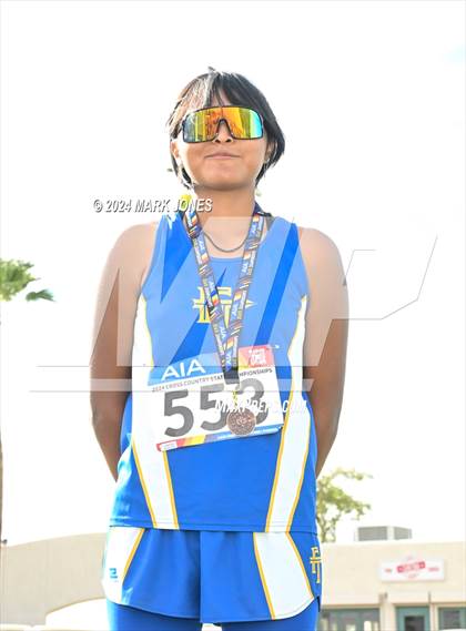 Thumbnail 1 in AIA D-IV Girls State Championship (Awards) photogallery.